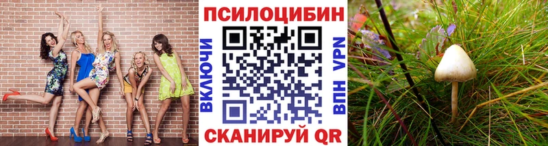 где купить наркоту  даркнет состав  Псилоцибиновые грибы ЛСД  Можга 